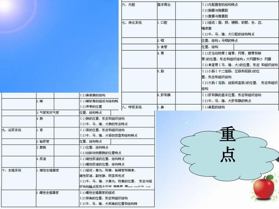 执业兽医-公务员-事业考试培训4H钟_第5页