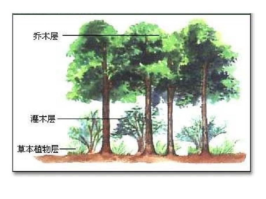 第十章群落的分类与排序_第5页