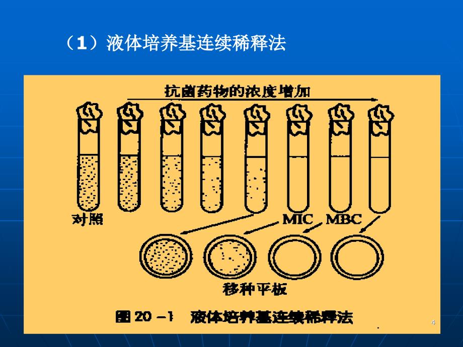 （优质课件）药物制剂的微生物检验_第4页