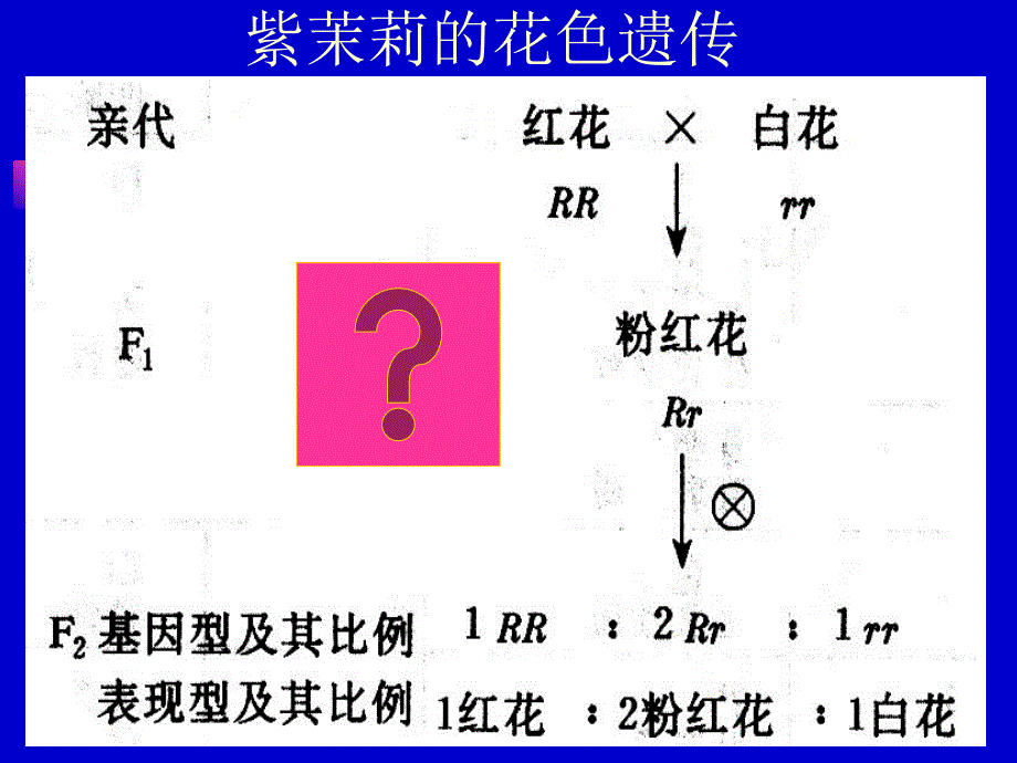 遗传学第三章第三节基因互作与环境_第4页