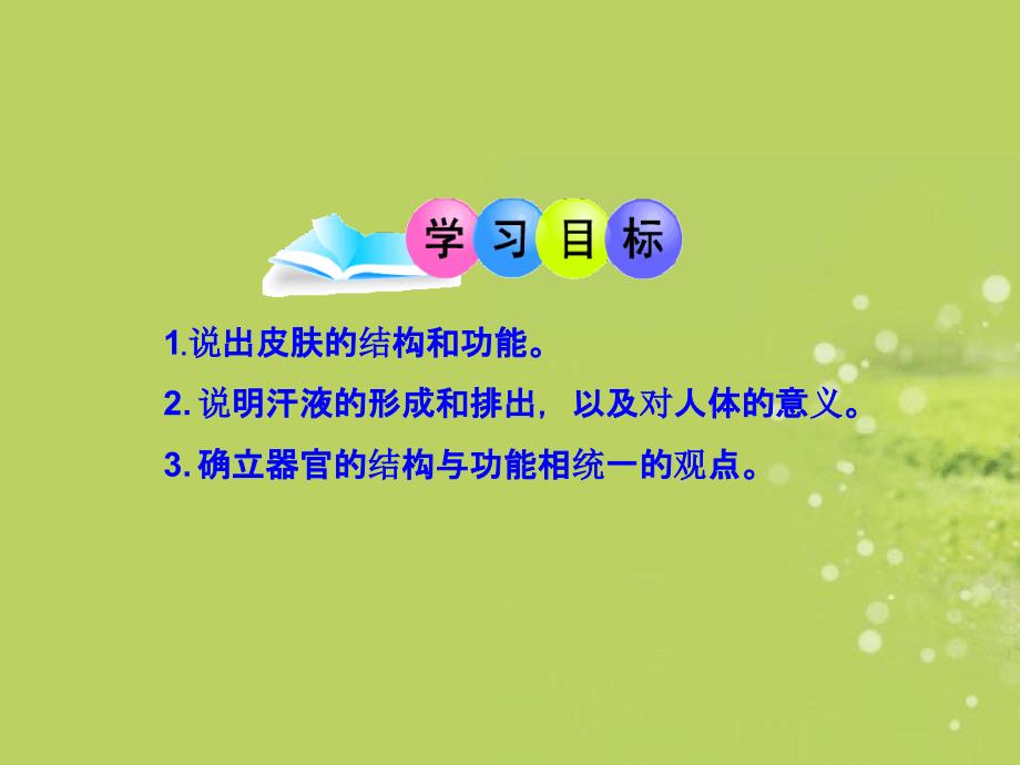 济南版生物第二节汗液的形成和排出课件_第3页