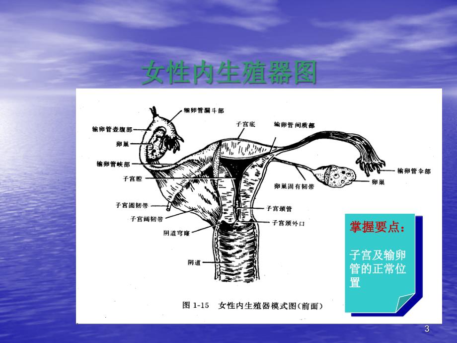 异位妊娠输卵管妊娠_第3页