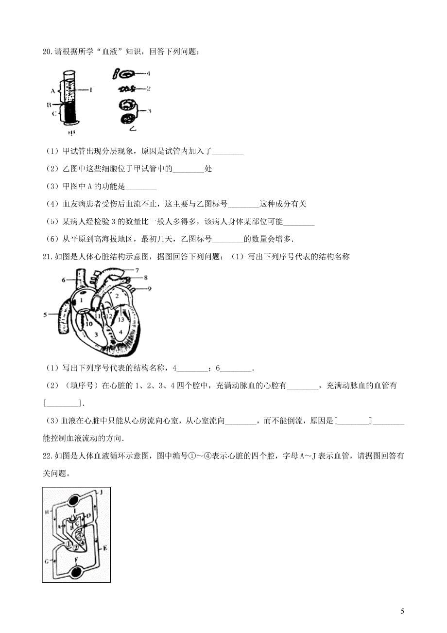 2019年中考生物 人体内物质的运输专题复习（无答案）_第5页