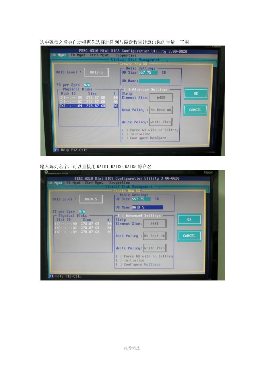 DELL-R720--PERC-H310阵列教程_第3页