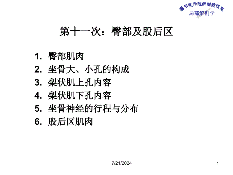 《局部解剖学》教学课件：11 臀部及股后区_第1页