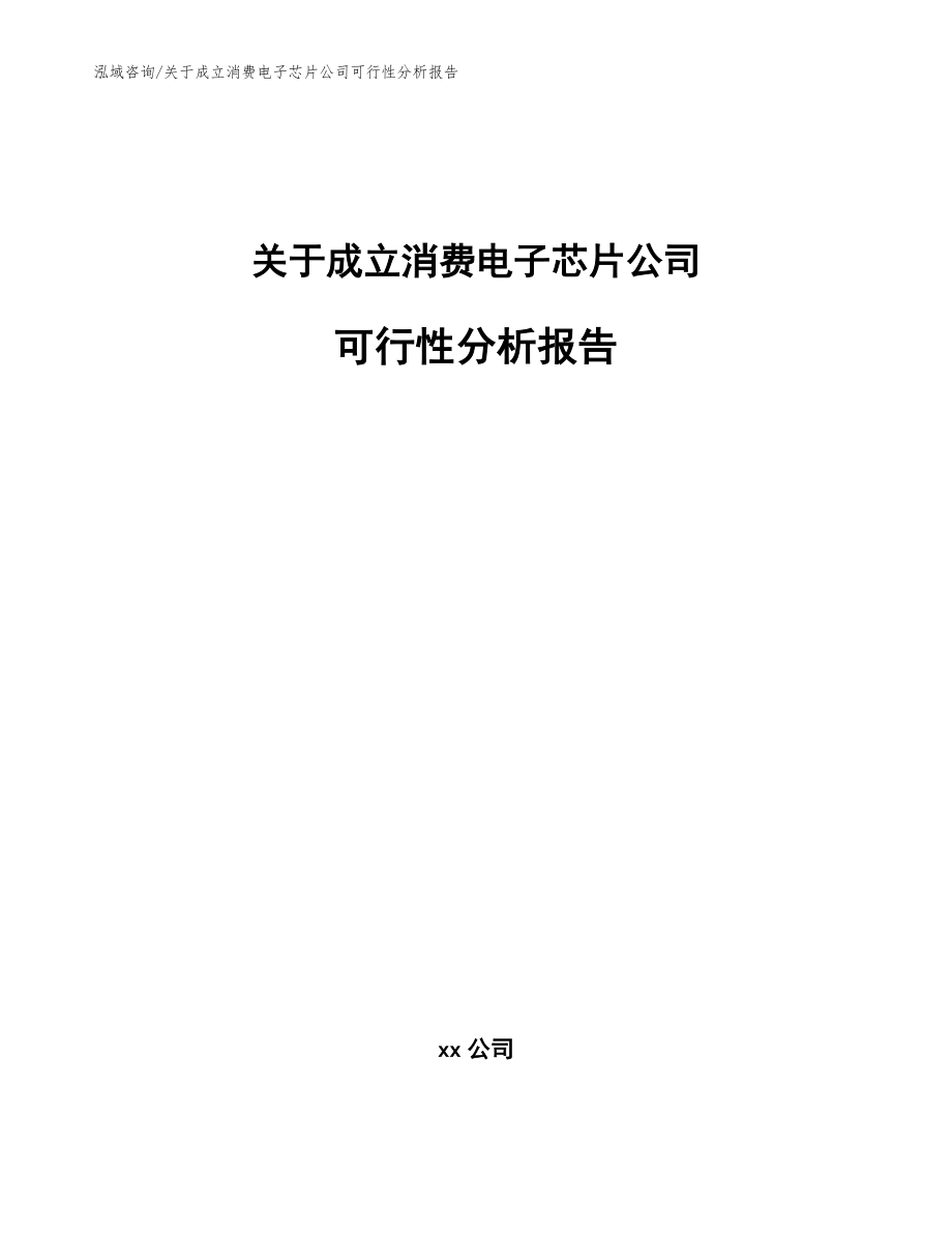 关于成立消费电子芯片公司可行性分析报告范文参考_第1页