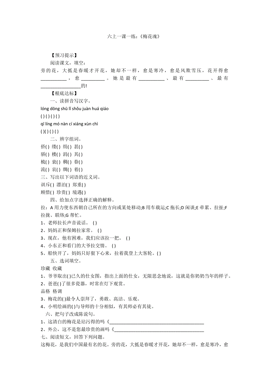 六上一课一练：《梅花魂》_第1页