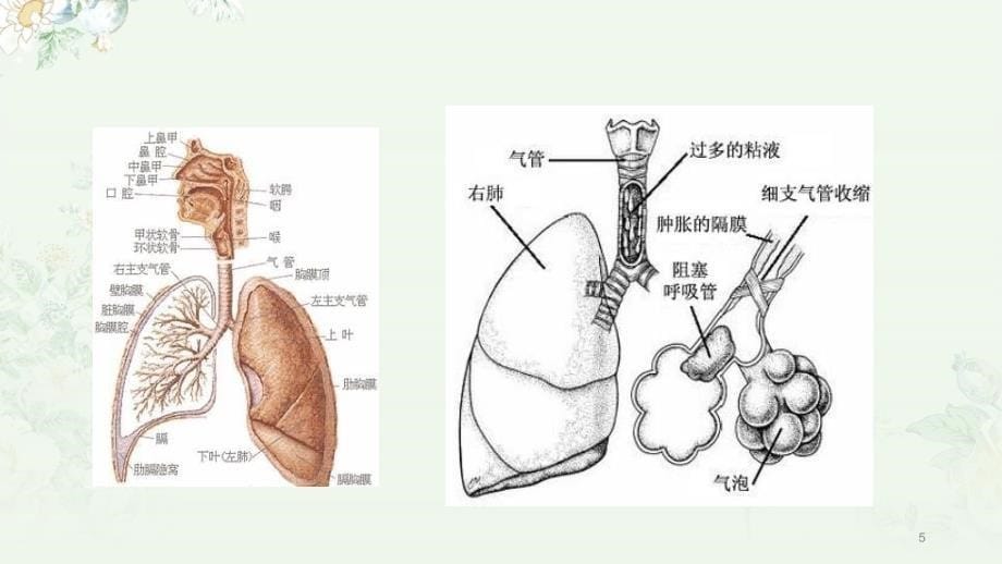 哮喘健康教育PPT演示课件_第5页