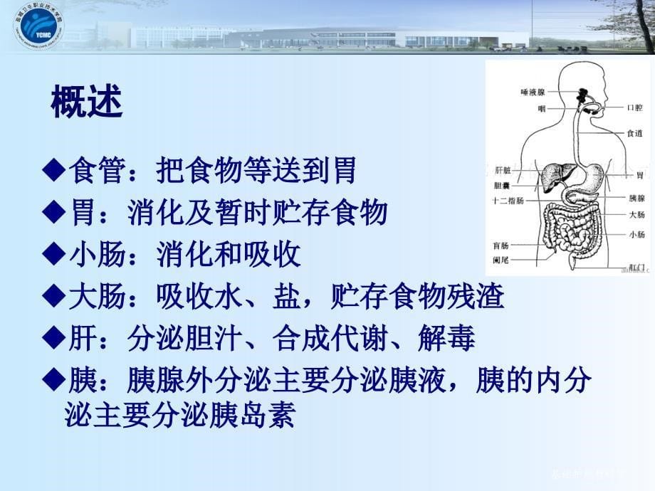 1消化系统疾病病人常见症状体征的护理_第5页