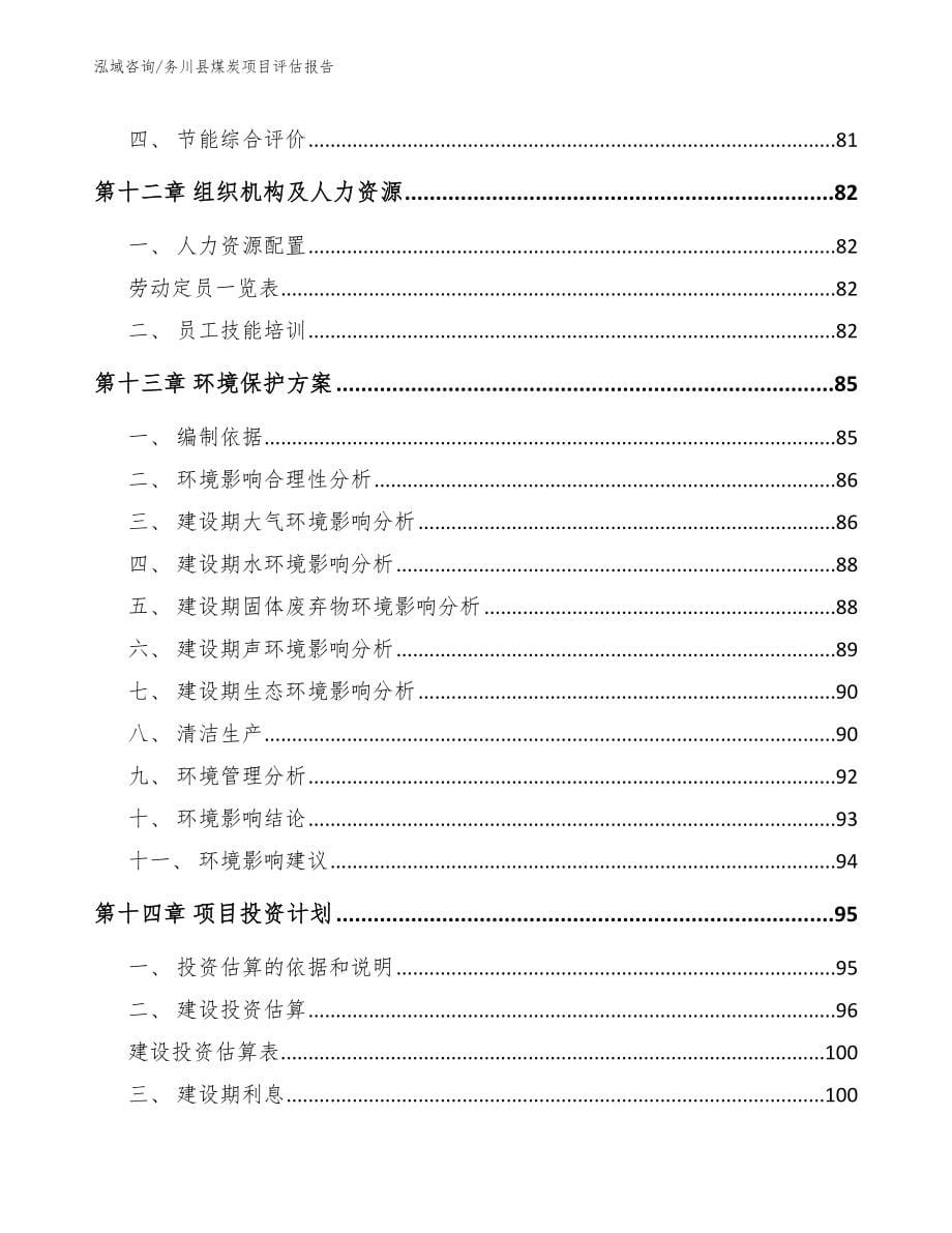 务川县煤炭项目评估报告范文模板_第5页