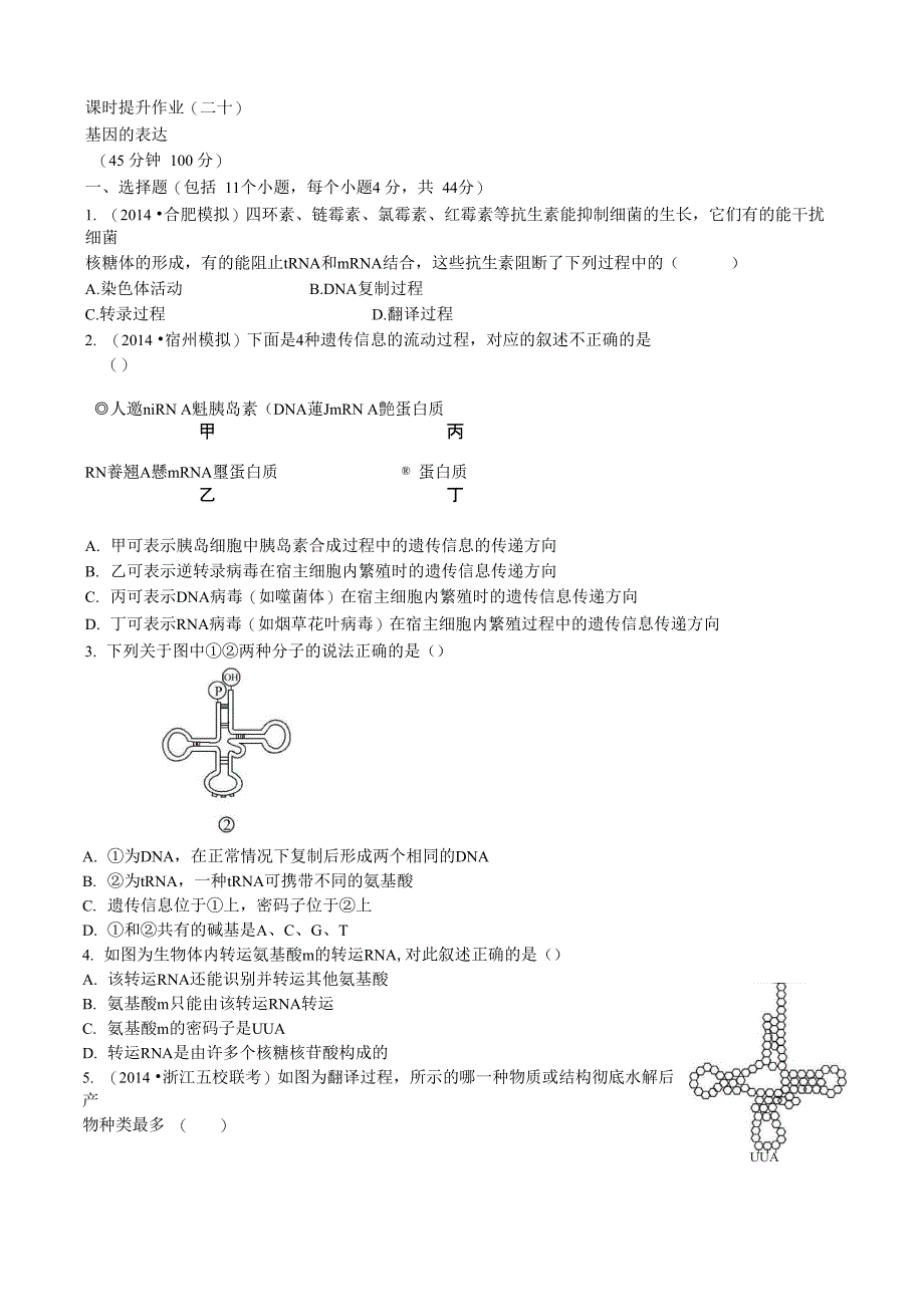 基因的表达_第1页