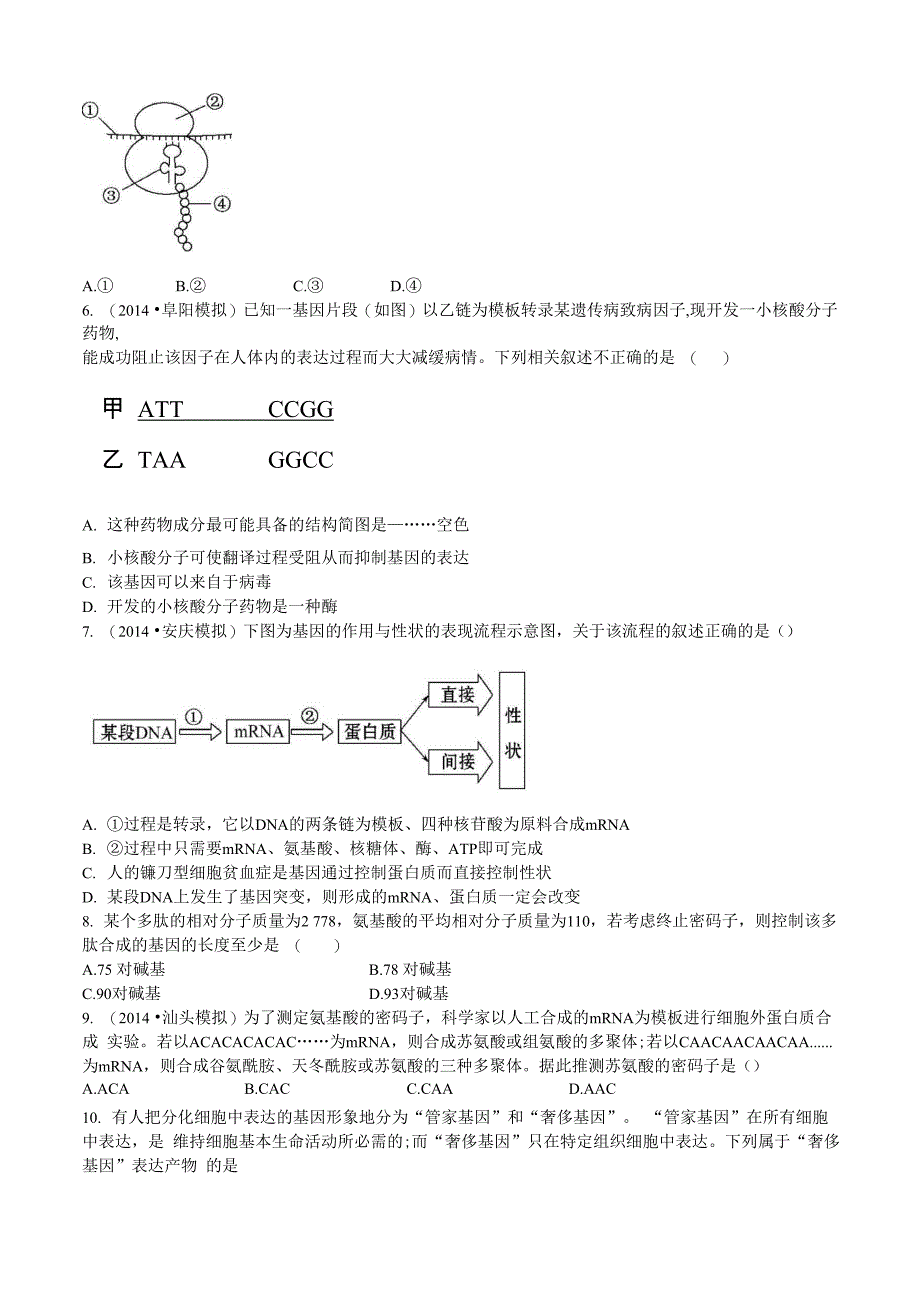 基因的表达_第2页