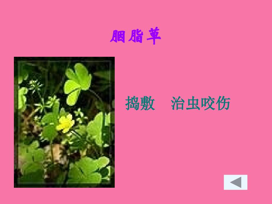 李时珍夜宿古寺草药ppt课件_第3页