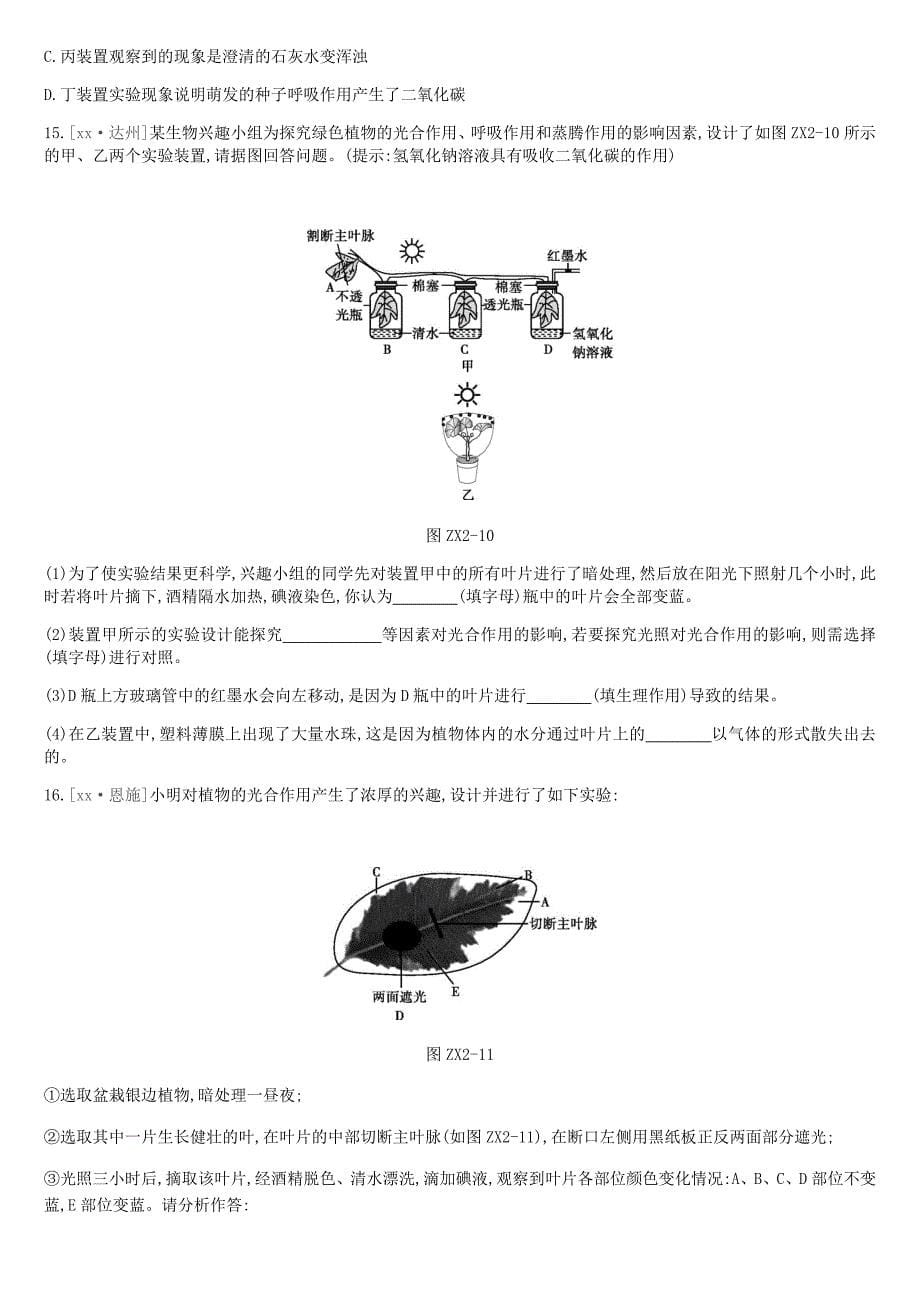 北京市2022年中考生物复习专项训练02绿色植物的光合呼吸蒸腾三大生理作用_第5页