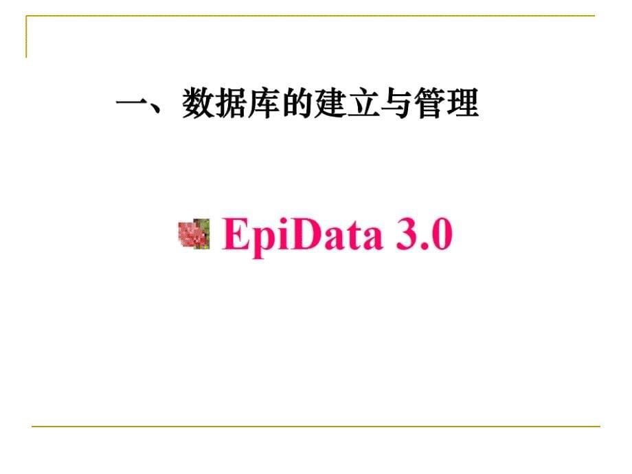 问卷录入工具epidata软件使用方法教程_第5页