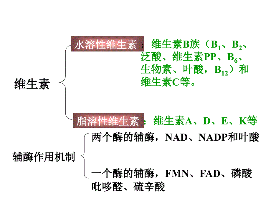 六维生素和辅酶_第4页