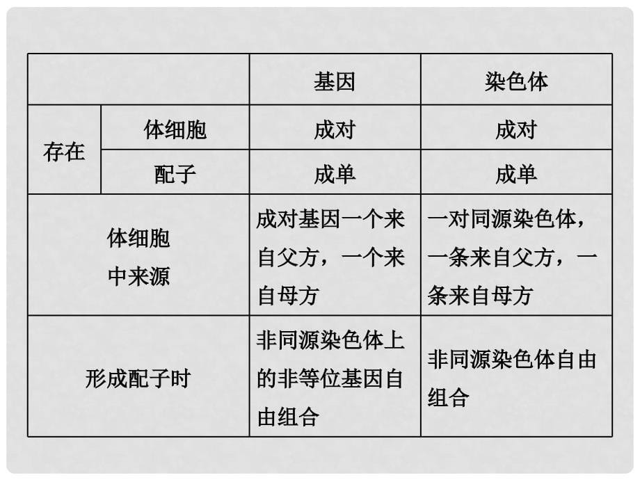 高考生物一轮复习 第一单元 遗传的基本规律与伴性遗传 第三讲 基因在染色体上和伴性遗传课件（必修2）_第5页