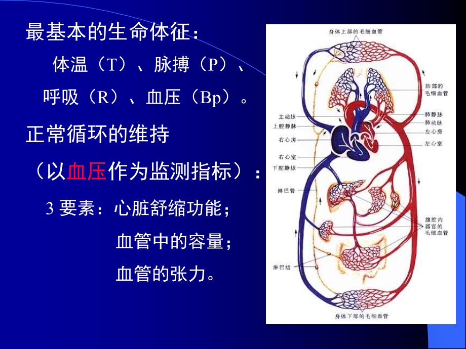 医学心源性休克专业知识讲座培训课件_第2页