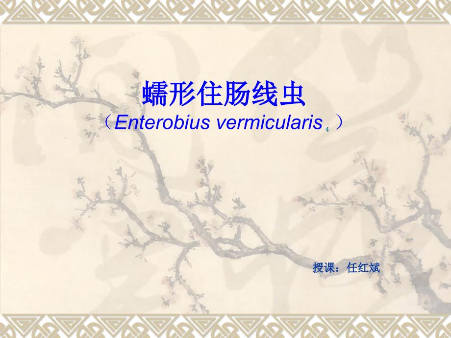 蠕形住肠线虫Enterobiusvermicula_第1页