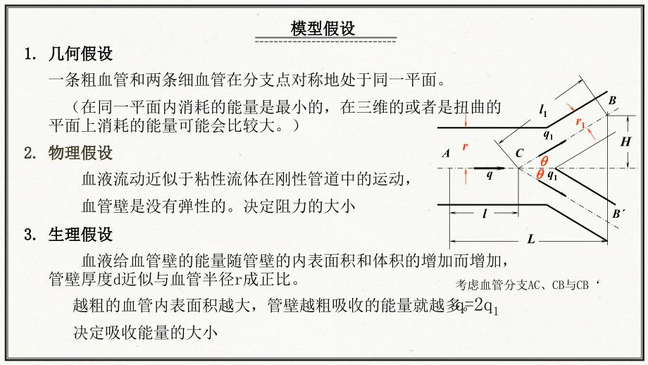 血管分支模型1_第2页