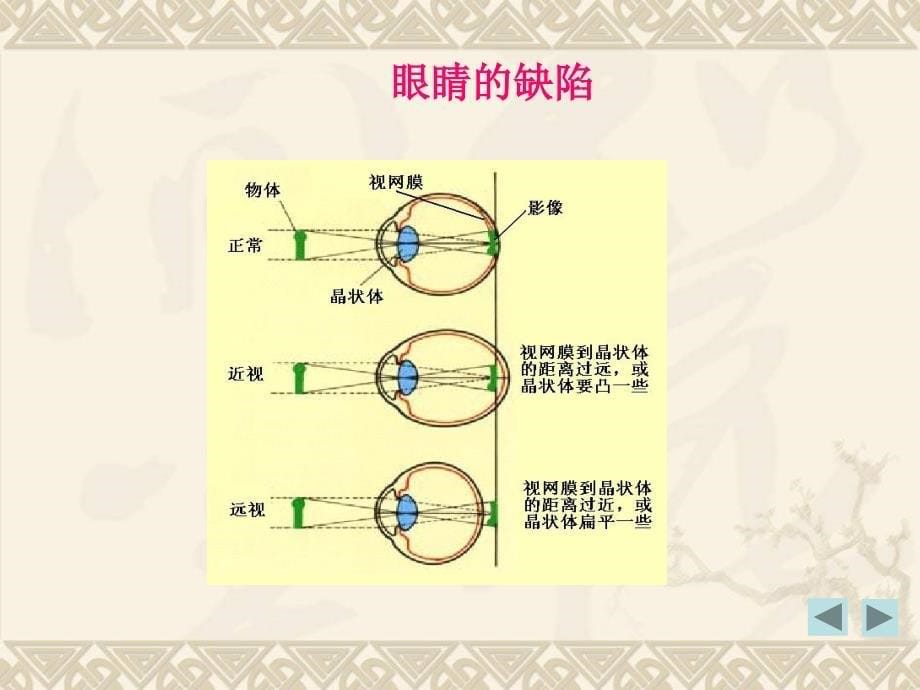 37眼睛与光学仪器_第5页