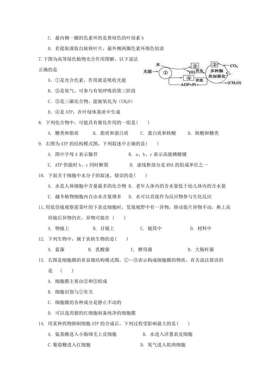 2022-2023学年高一生物11月月考试题 (I)_第2页