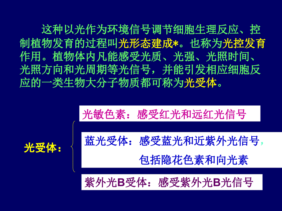 植物的光形态建成.ppt_第3页