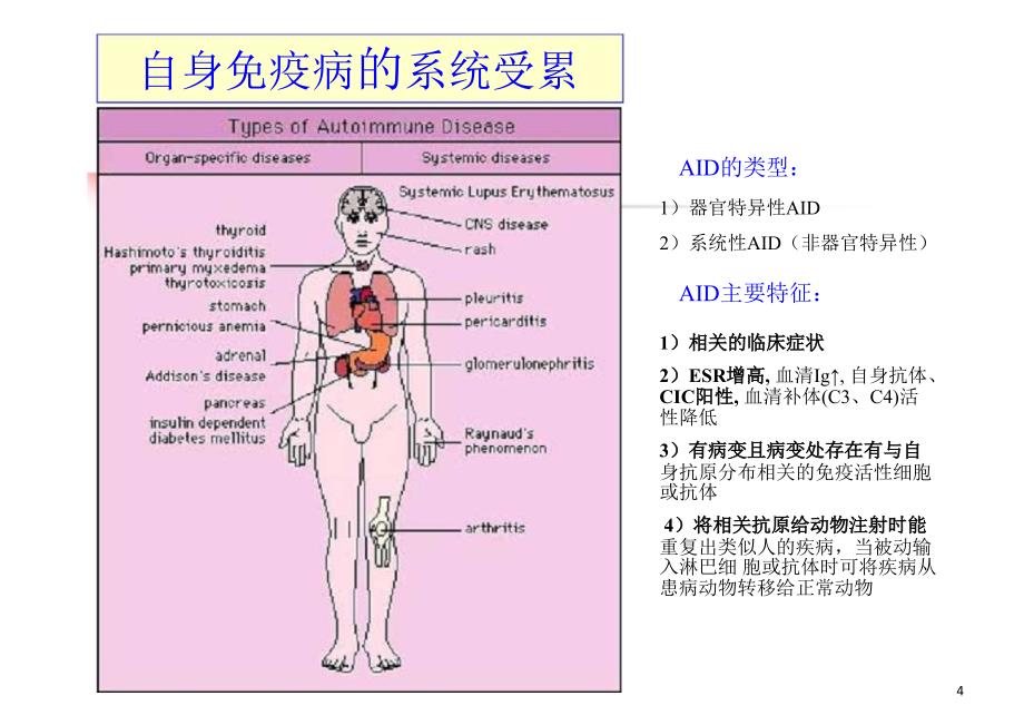 抗核抗体检测的质量要求及结果的合理判读李晓军2_第4页