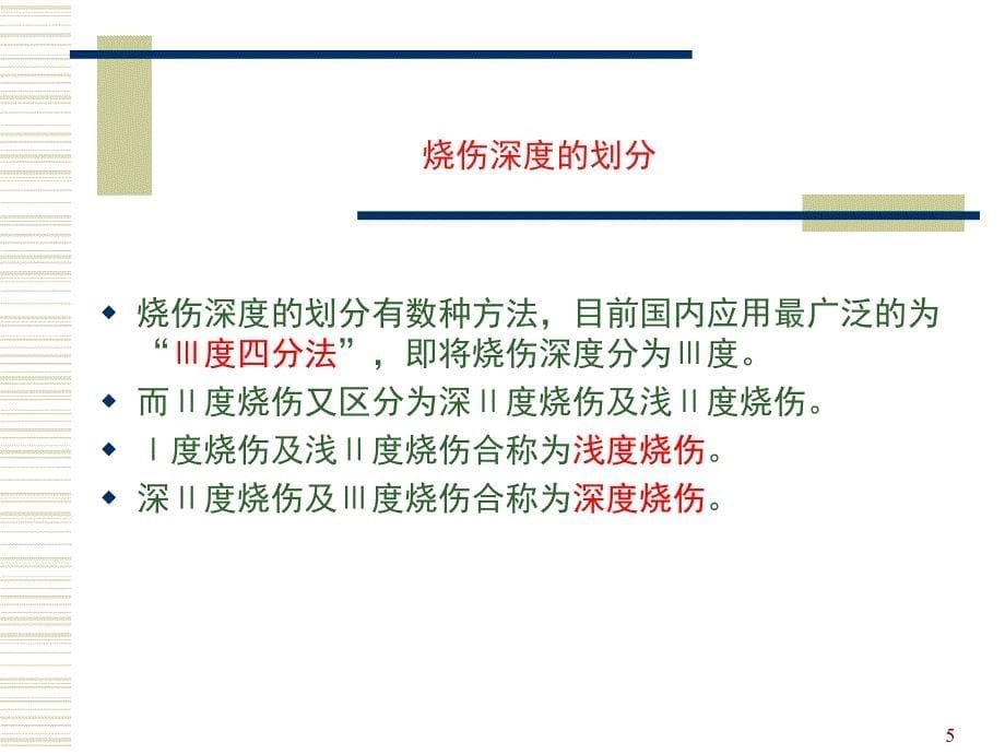 烧伤知识讲座1_第5页