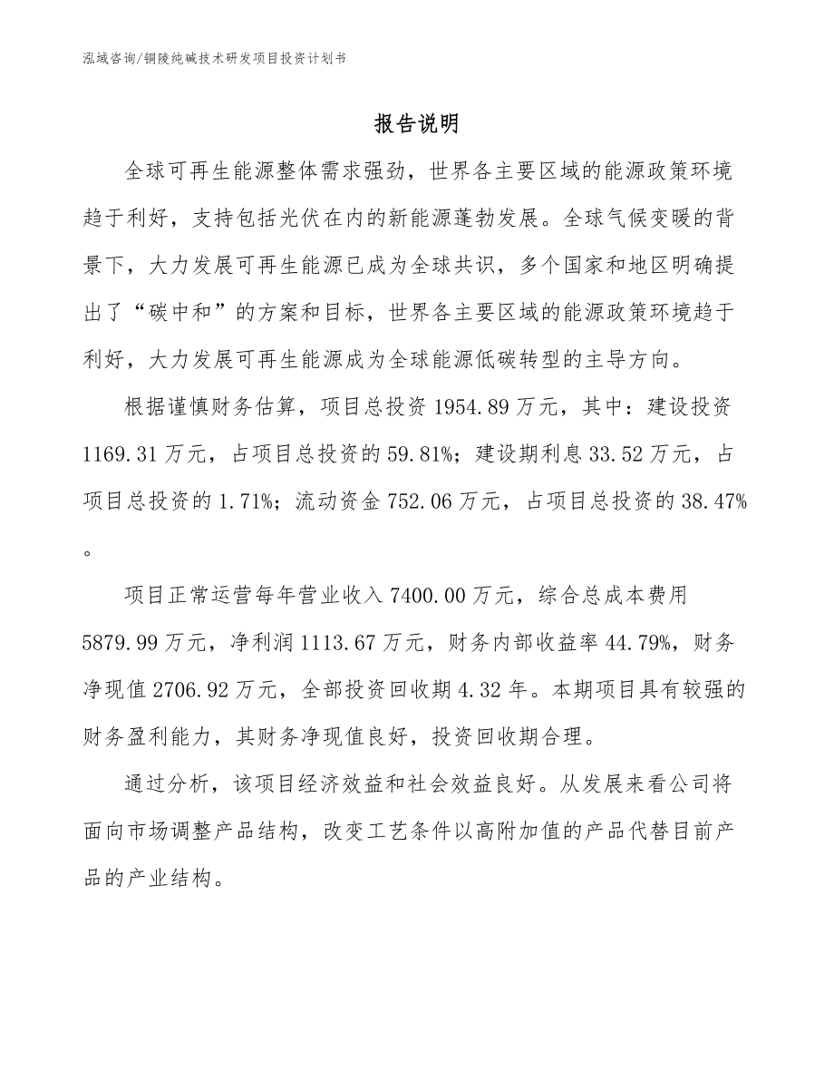 铜陵纯碱技术研发项目投资计划书_模板参考_第2页