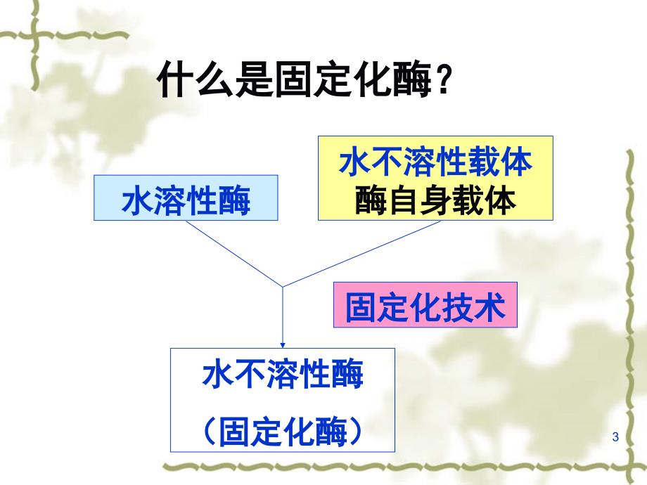 固定化酶文档资料_第3页