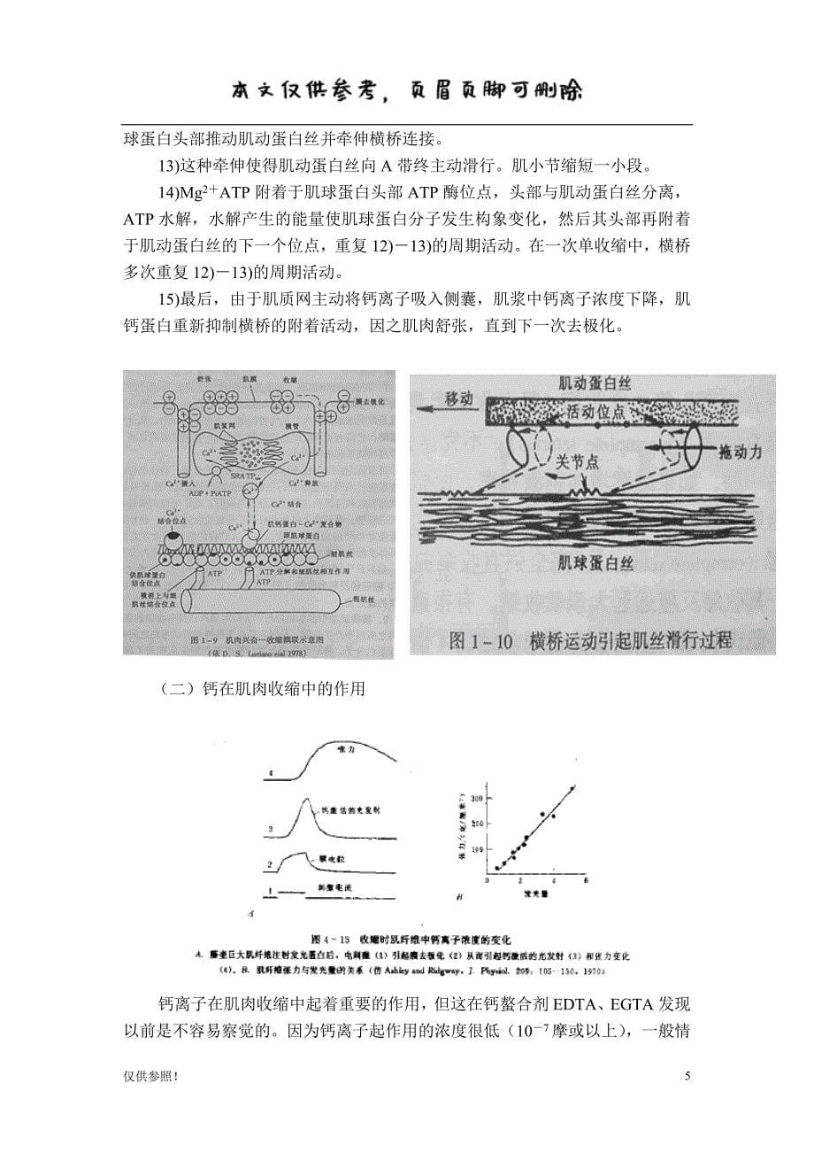 肌肉的收缩原理[借鉴材料]_第5页