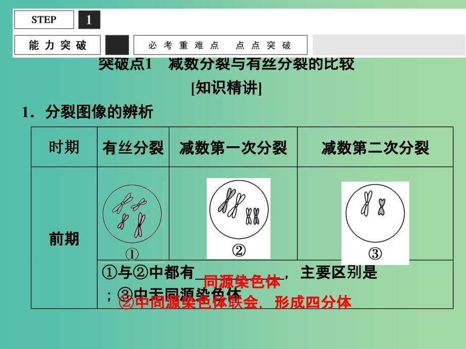 高考生物一轮复习 有丝分裂与减数分裂的比较及减数分裂与可遗传变异的关系课件.ppt_第2页