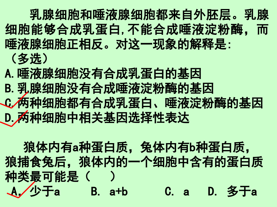 复习基因突变和基因重组_第2页