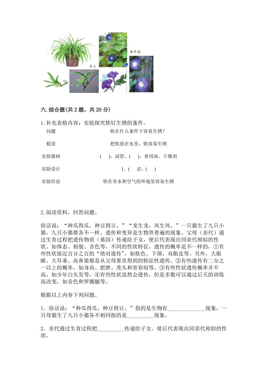 苏教版六年级上册科学期末考试试卷附答案(培优).docx_第3页