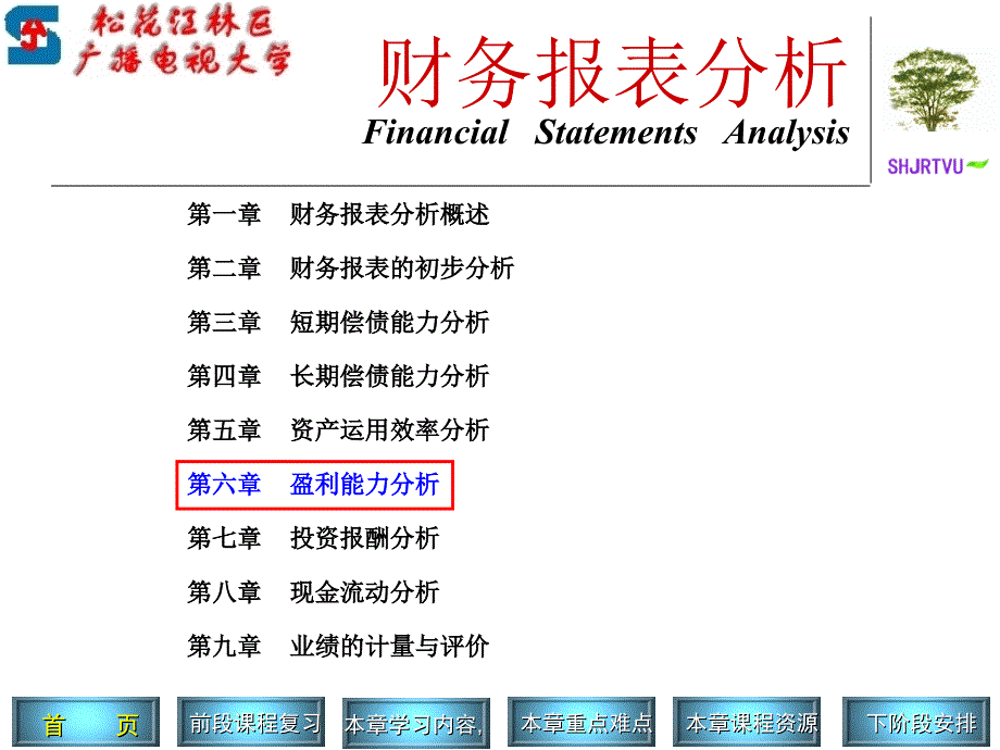 会计学本科财务报表分析课程_第3页