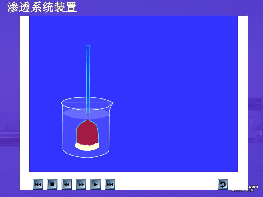 高一生物物质跨膜运输的实例课件1新课标人教版精品教育_第2页