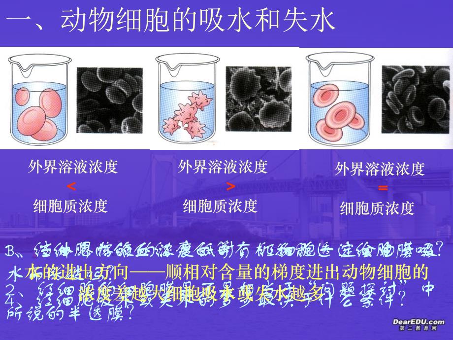 高一生物物质跨膜运输的实例课件1新课标人教版精品教育_第4页