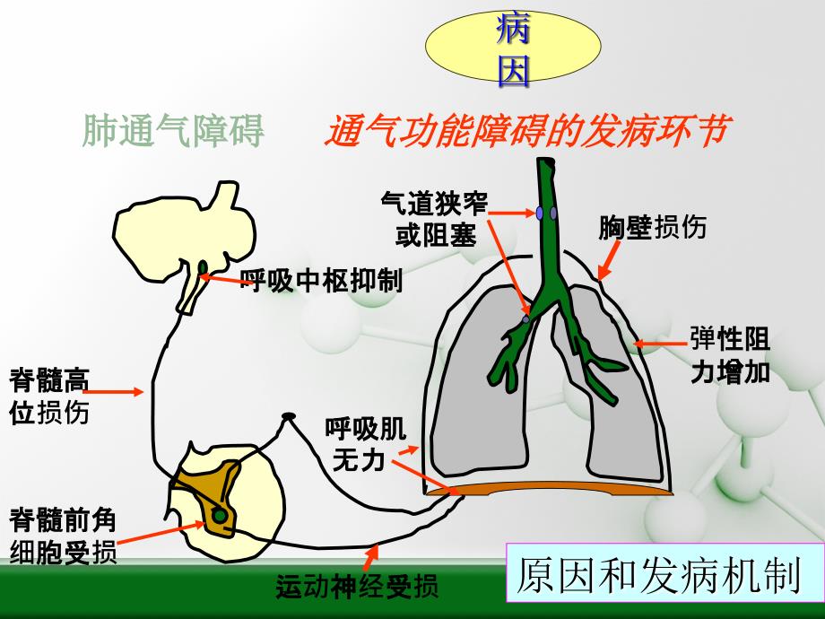 课件病理生理学呼吸衰竭ppt课件_第4页