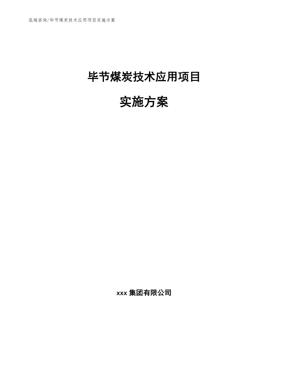 毕节煤炭技术应用项目实施方案_第1页