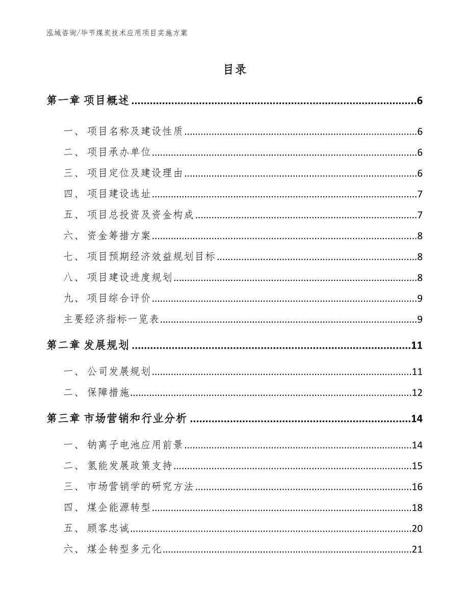 毕节煤炭技术应用项目实施方案_第2页