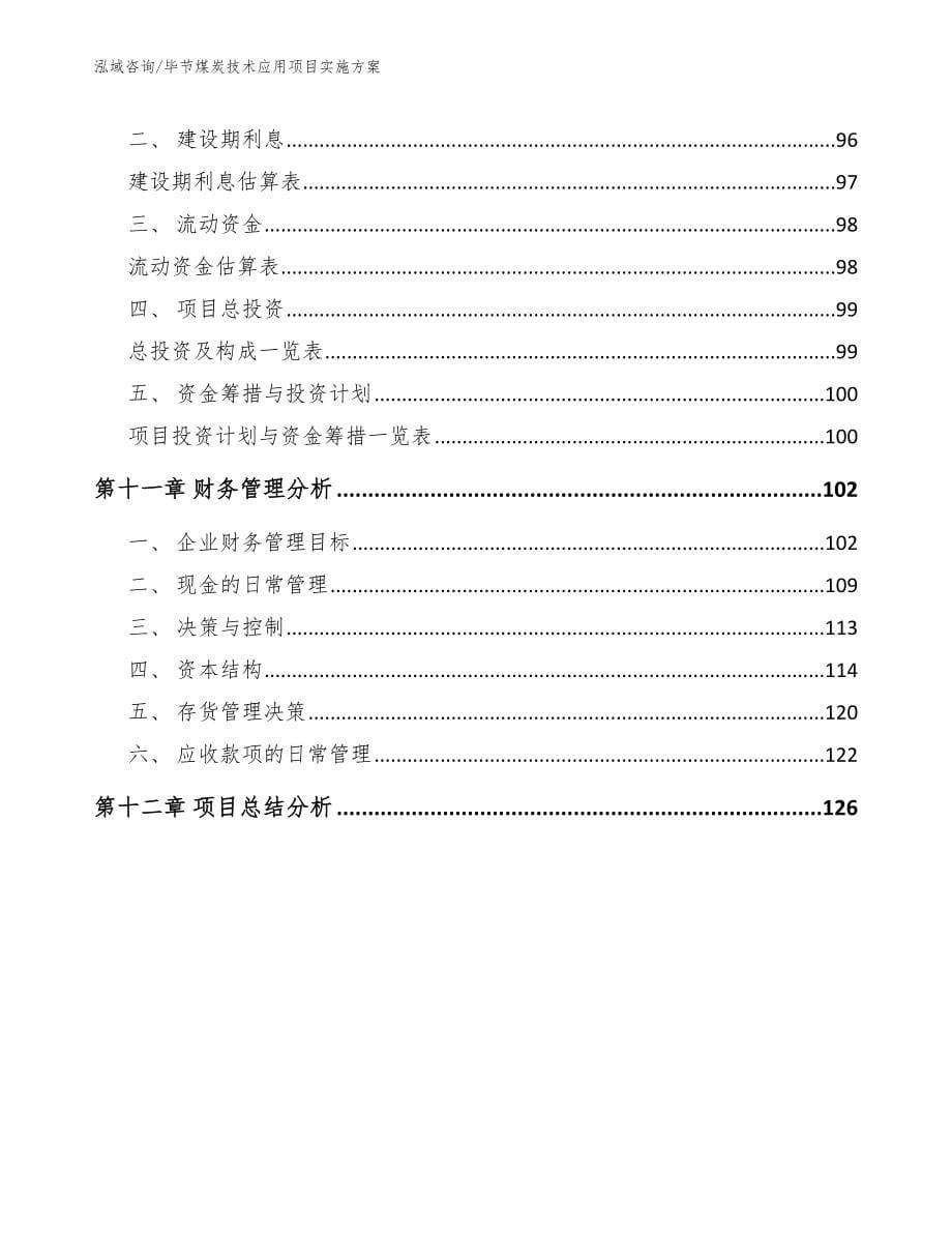 毕节煤炭技术应用项目实施方案_第5页