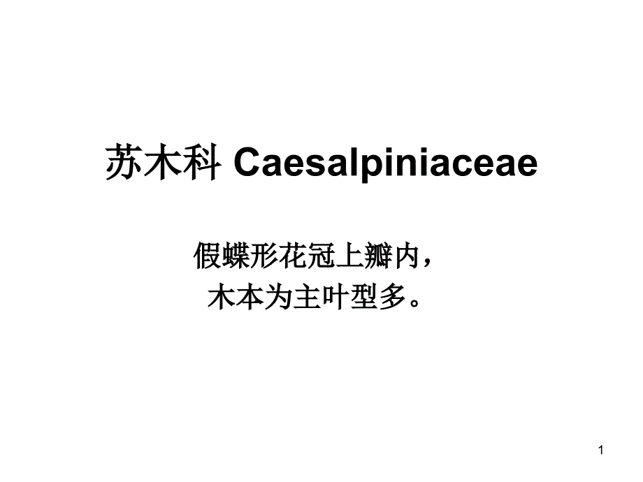 被子植物苏木科_第1页