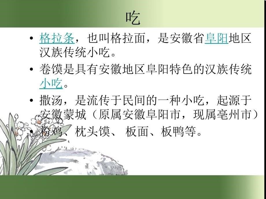 我的家乡阜阳介绍_第5页