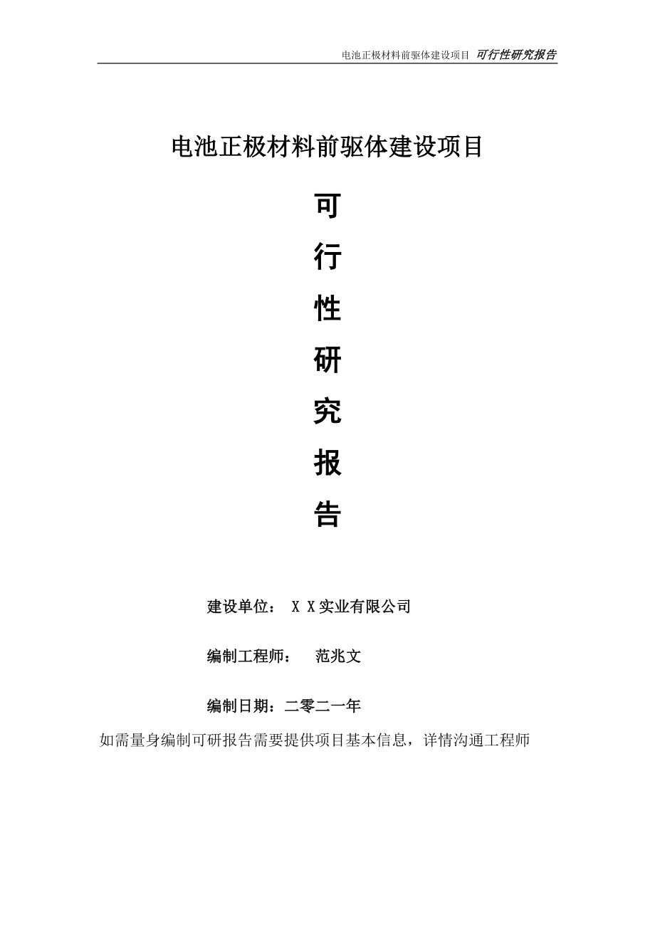 电池正极材料前驱体项目可行性研究报告-可参考案例-备案立项_第1页