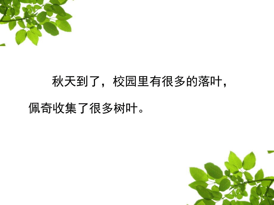 一年级上册科学课件1.3观察叶教科版共27张PPT_第2页