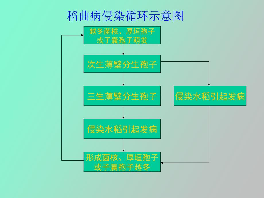 稻曲病浸染流行及防治技术_第4页