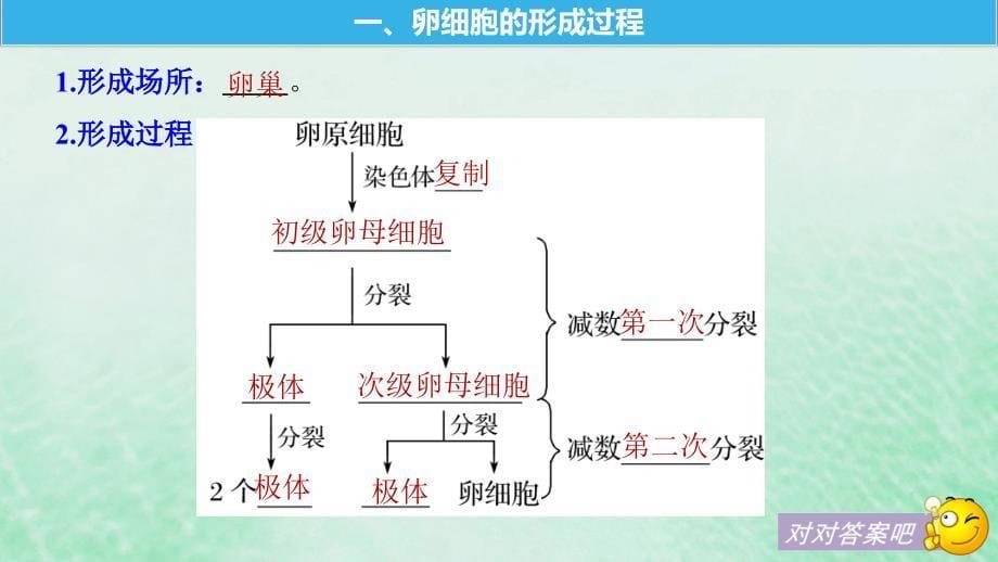 2018-2019学年高中生物 第2章 基因和染色体的关系 第1节 第2课时 基因在染色体上课件 新人教版必修2_第5页