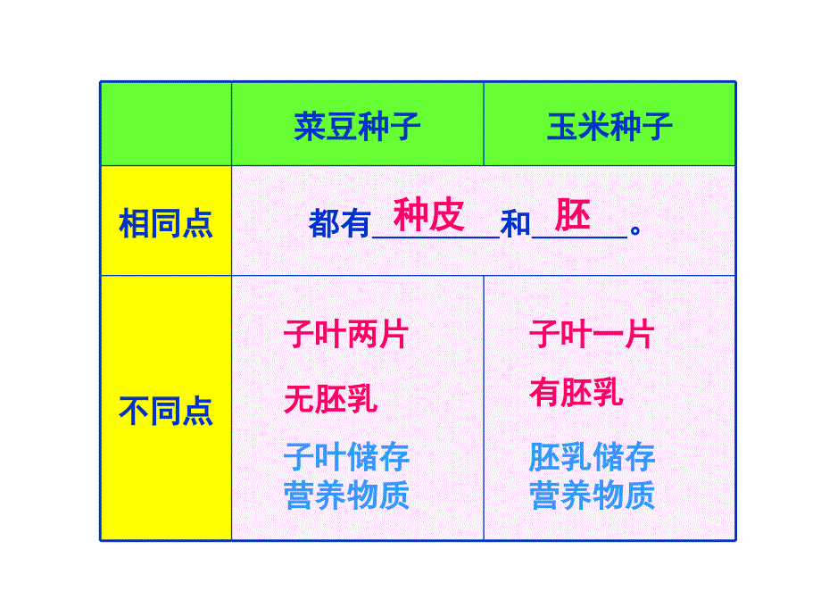 第一节__种子的萌发_第4页