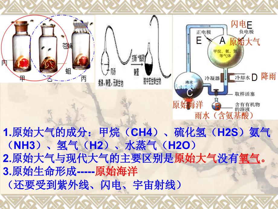 北师大版八年生物下总结复习_第3页